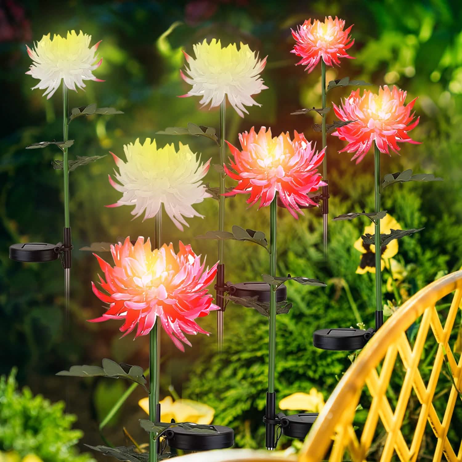 Lot de 2 : Lampes solaires LED Chrysanthème