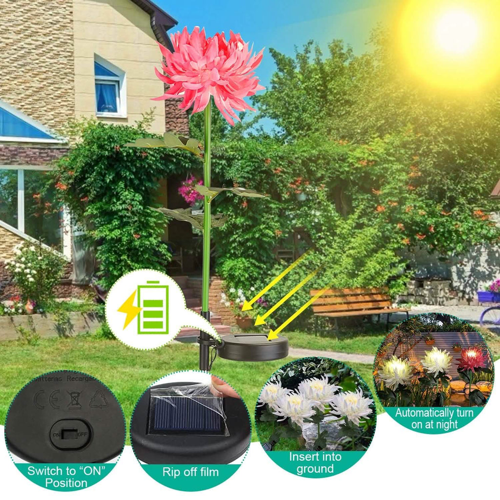 Lot de 2 : Lampes solaires LED Chrysanthème
