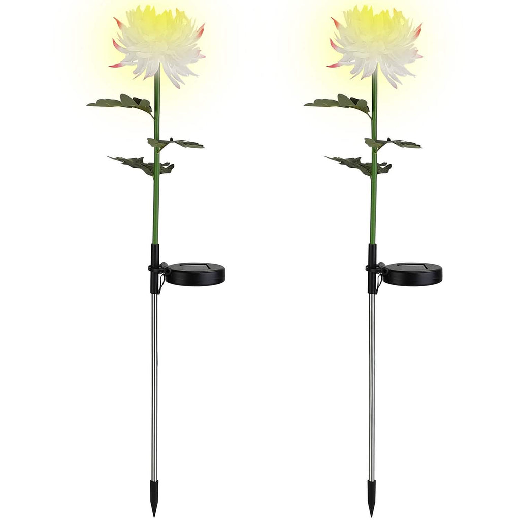 Lot de 2 : Lampes solaires LED Chrysanthème