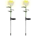 Lot de 2 : Lampes solaires LED Chrysanthème