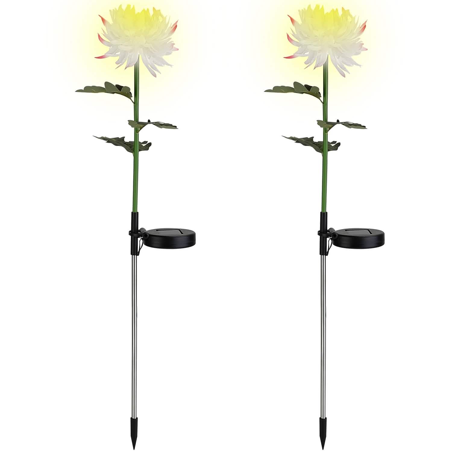Lot de 2 : Lampes solaires LED Chrysanthème