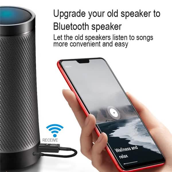 Lot de 2 : Émetteur adaptateur USB sans fil Bluetooth 5.0 2-en-1