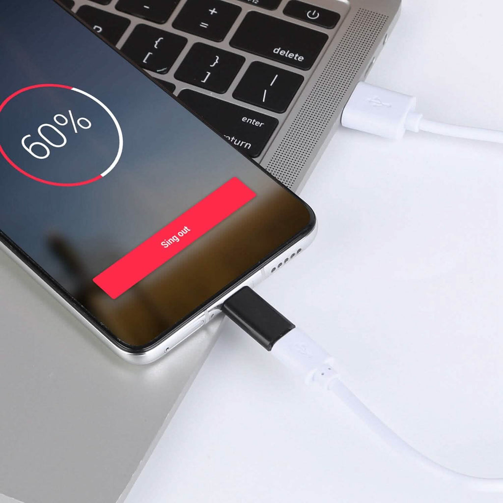 Lot de 2 : adaptateur Micro USB vers Type C