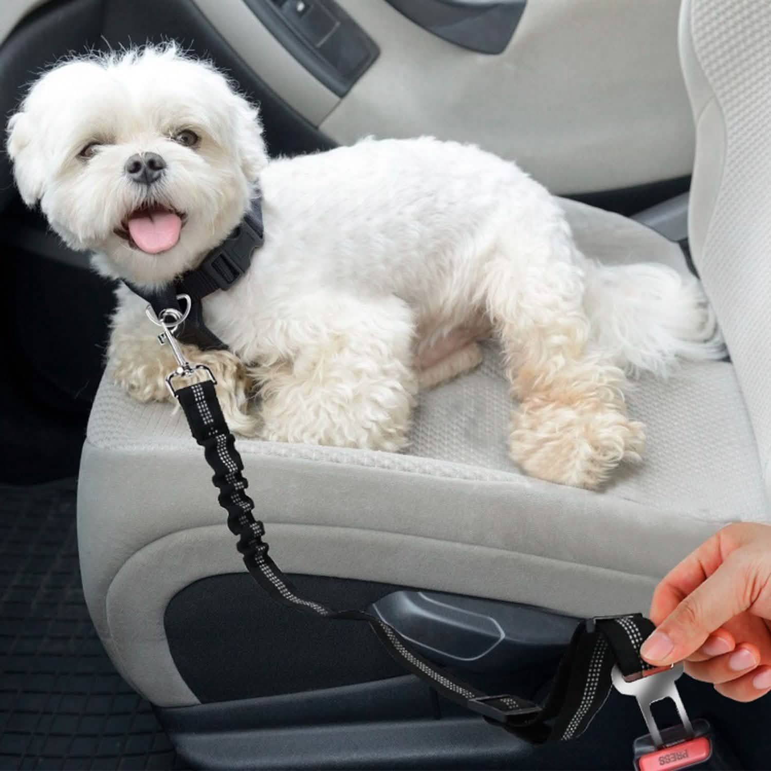 Lot de 2 : Ceinture de sécurité pour animaux de compagnie