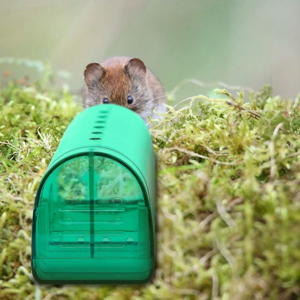 2 Pièces : Piège à Souris Humain Réutilisable