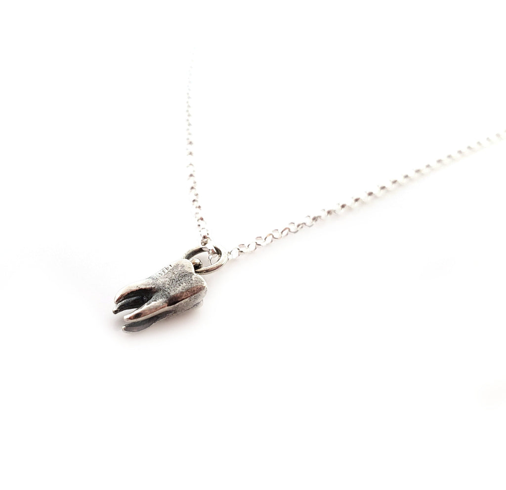 Collier Pendentif Petite Dent Molaire - Collier en Argent Sterling