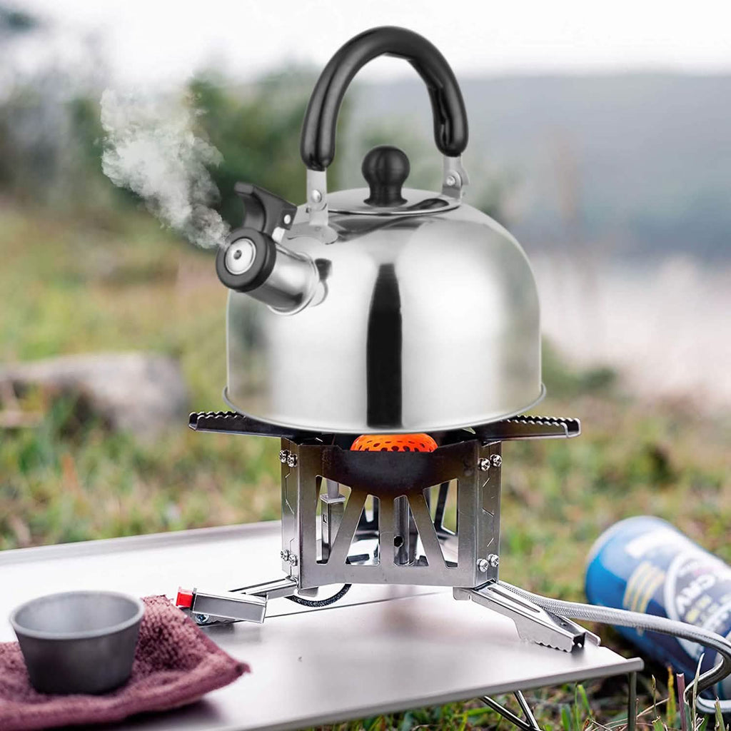Bouilloire sifflante en acier inoxydable 2,1 litres pour cuisinière à induction ou à gaz