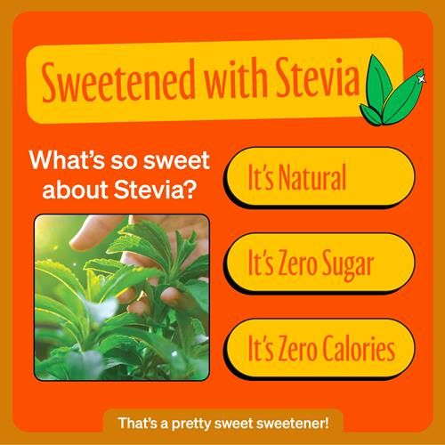 Boissons gazeuses Zevia Zéro Calorie, Orange, canettes de 355 ml (paquet de 6)