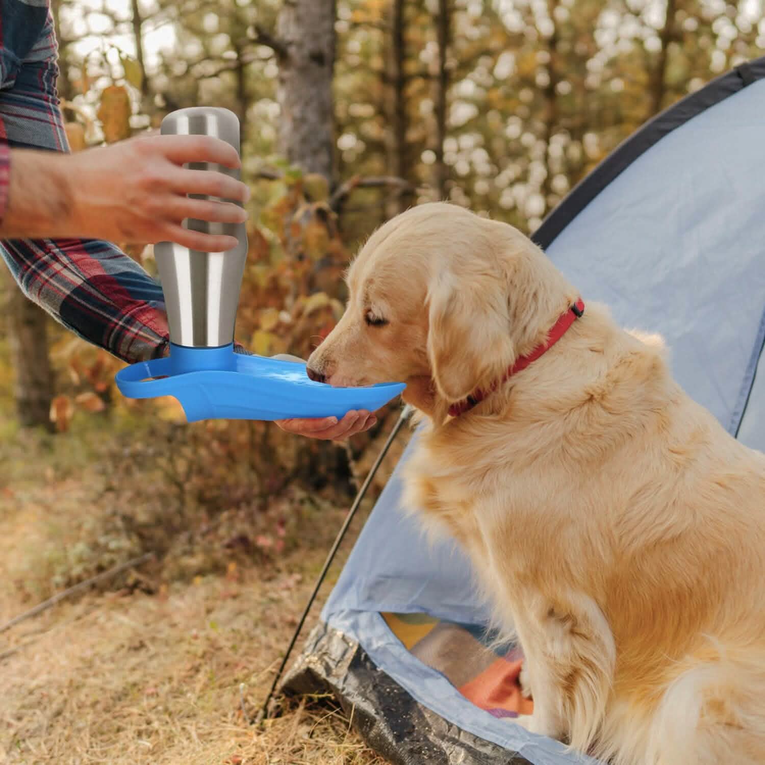 Distributeur d'eau portable en acier inoxydable pour chien, 750 ml, anti-fuite