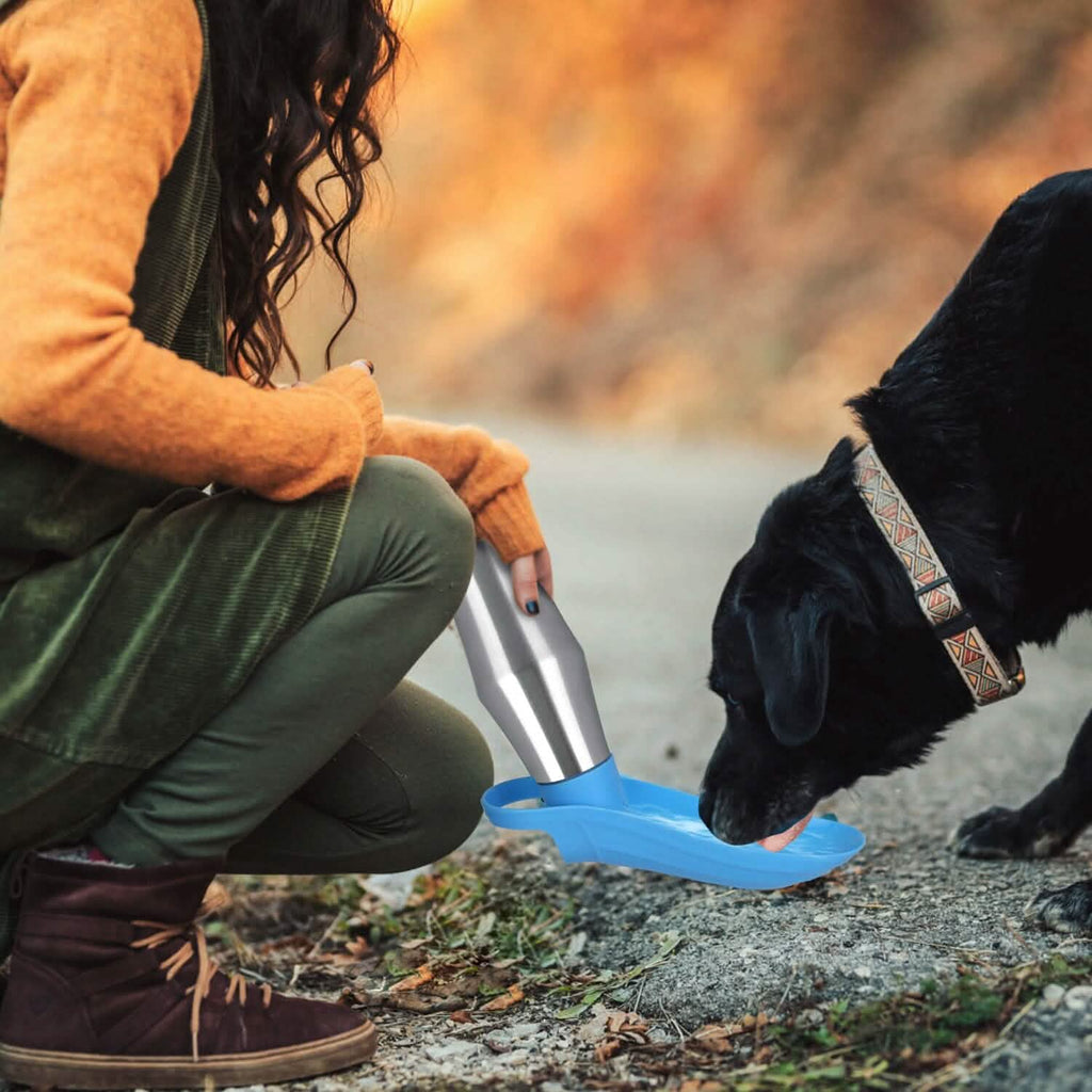 Distributeur d'eau portable en acier inoxydable pour chien, 750 ml, anti-fuite