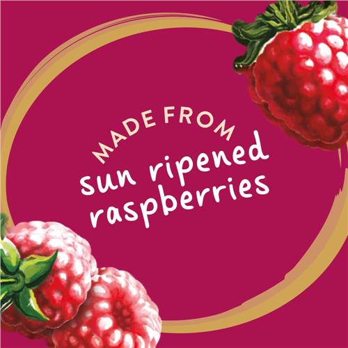 Confiture de framboises sans pépins Kroger 510 g