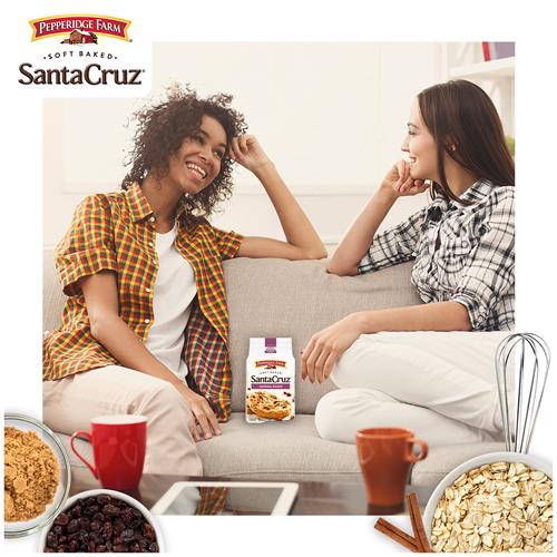 Biscuits moelleux aux flocons d'avoine et aux raisins secs Pepperidge Farm Santa Cruz, sac de 243 g