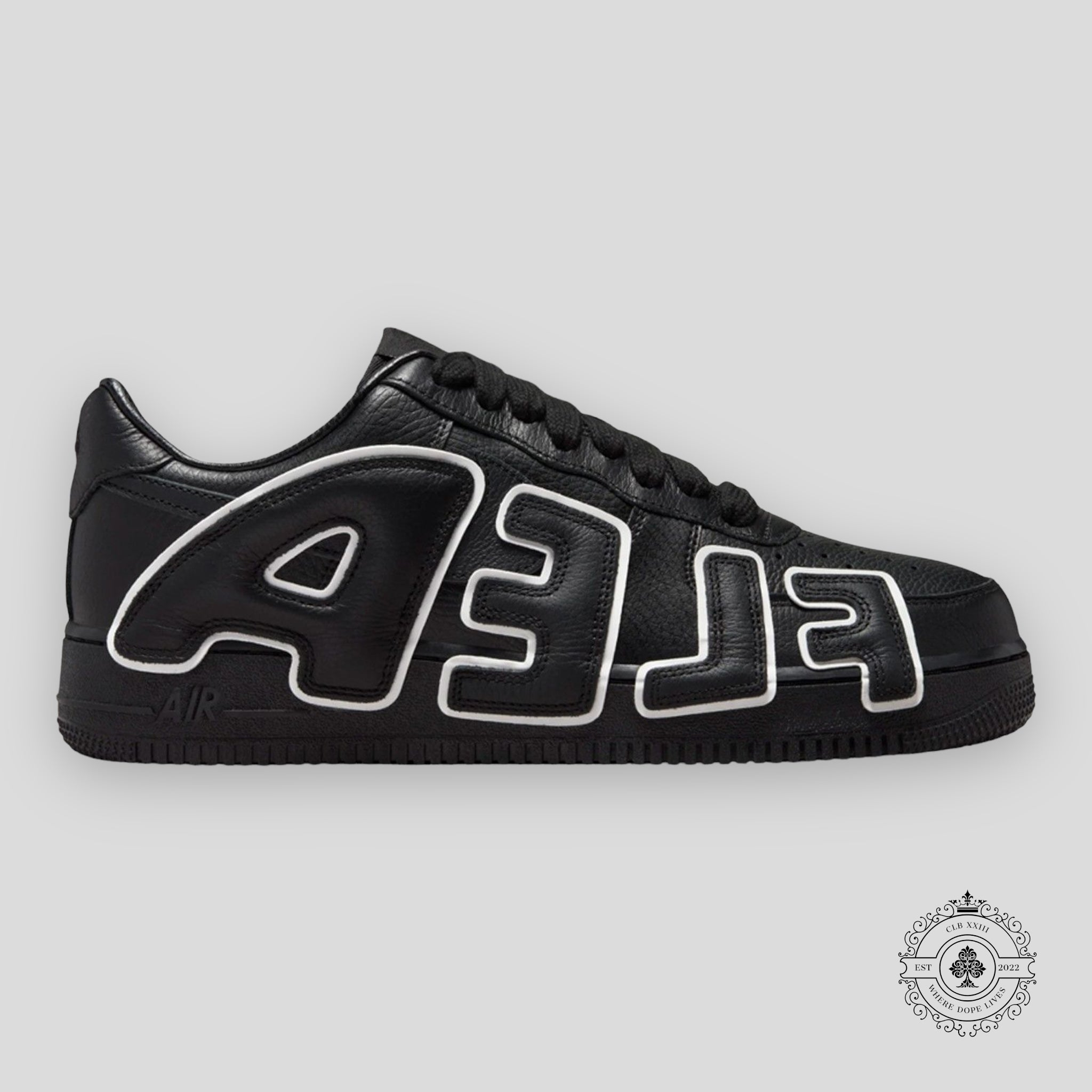 Nike Air Force 1 Low Cactus Plant Flea Market Noir (2024)