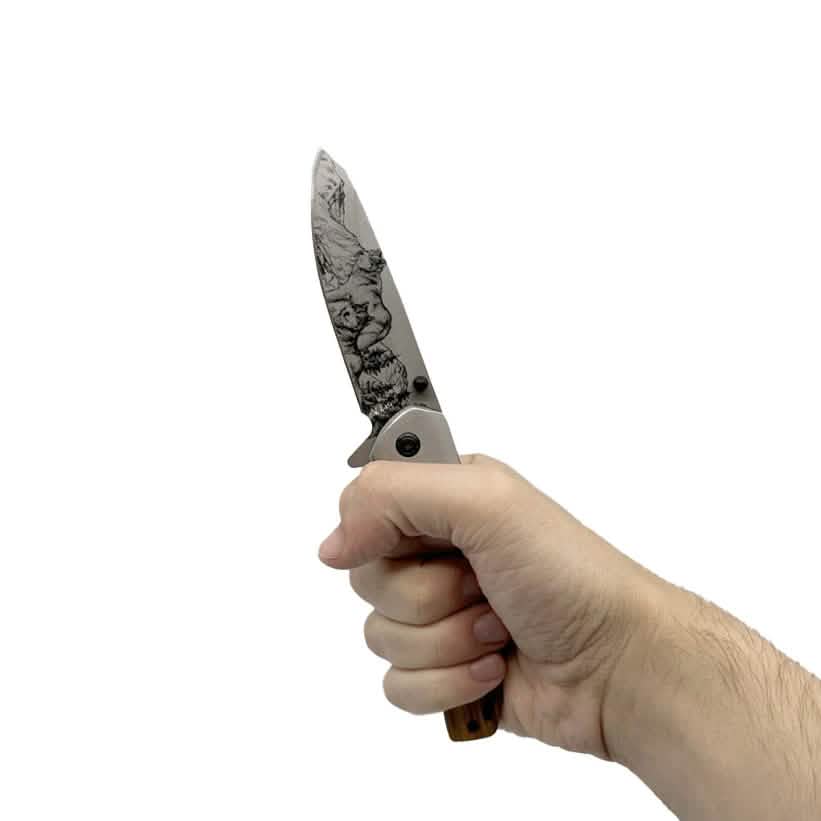 Paquet de 2 : Couteau à ouverture assistée de 3,5 po avec lame Drop Point