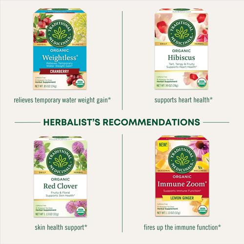 Tisane Traditional Medicinals, Pissenlit Bio (Feuilles et Racine), Soutient la Fonction Rénale et une Digestion Saine, 16 Sachets de Thé