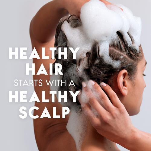 Shampooing antipelliculaire Head & Shoulders, Traitement antipelliculaire, Classic Clean pour usage quotidien, Sans parabènes, 835 ml