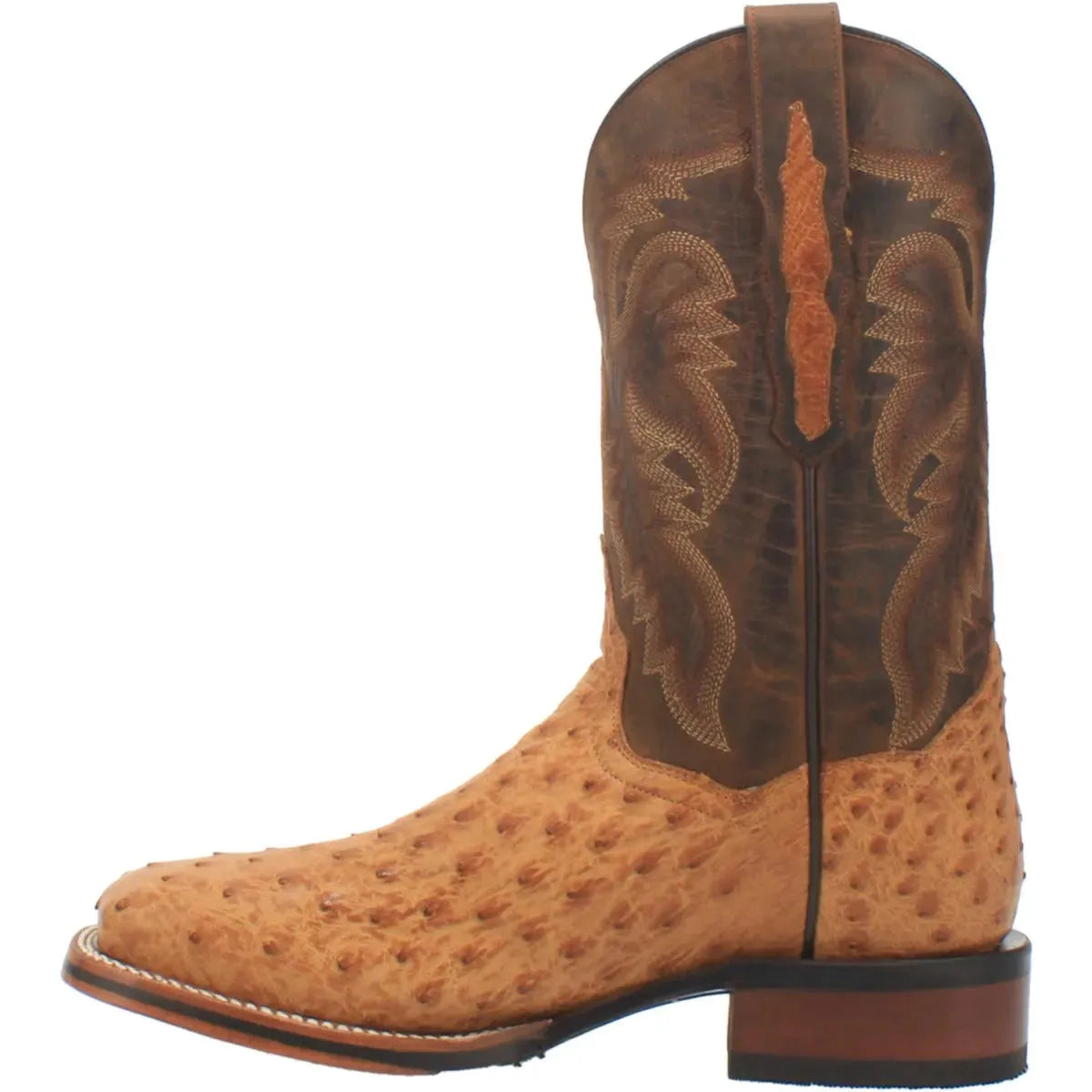Bottes de Cowboy en Cuir d'Autruche Dan Post Kershaw pour Hommes