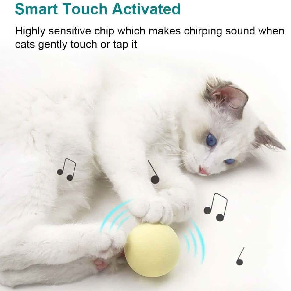 Lot de 3 : jouets pour chat balles réalistes avec chants d'oiseaux