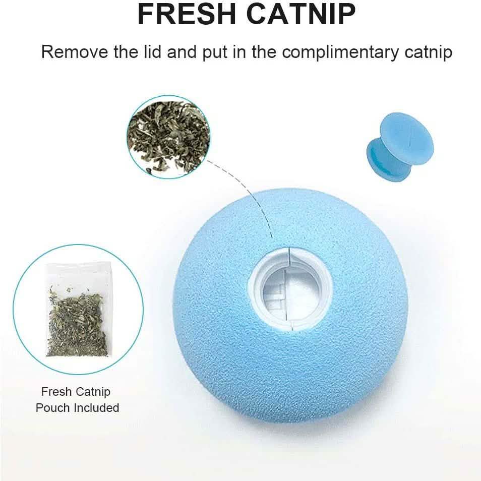 Lot de 3 : jouets pour chat balles réalistes avec chants d'oiseaux