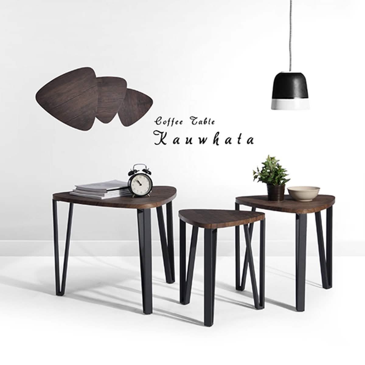 Lot de 3 tables d'appoint gigognes