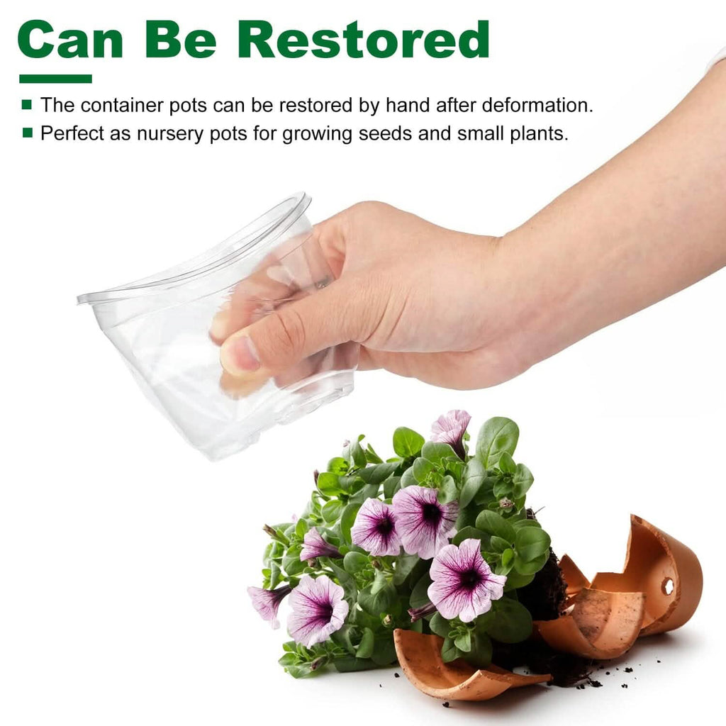30 pièces : Pots de pépinière en PET pour semis de fleurs avec couvercle et trous de drainage