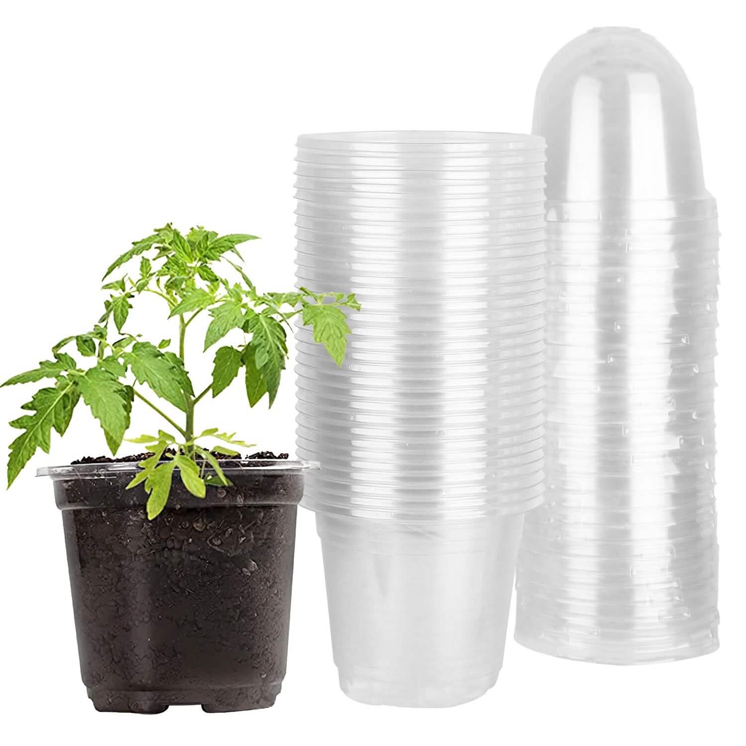 30 pièces : Pots de pépinière en PET pour semis de fleurs avec couvercle et trous de drainage