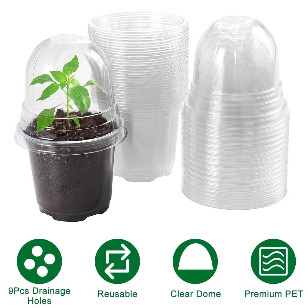 30 pièces : Pots de pépinière en PET pour semis de fleurs avec couvercle et trous de drainage