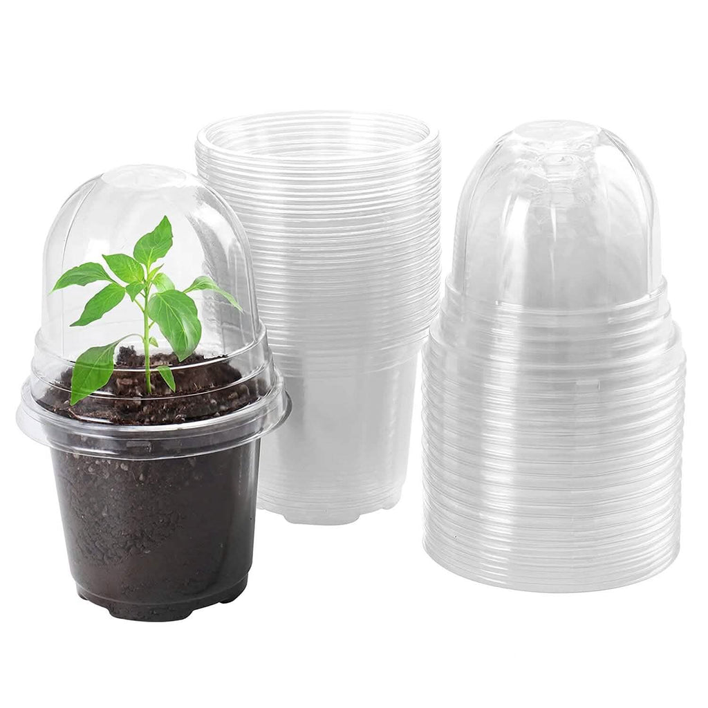 30 pièces : Pots de pépinière en PET pour semis de fleurs avec couvercle et trous de drainage