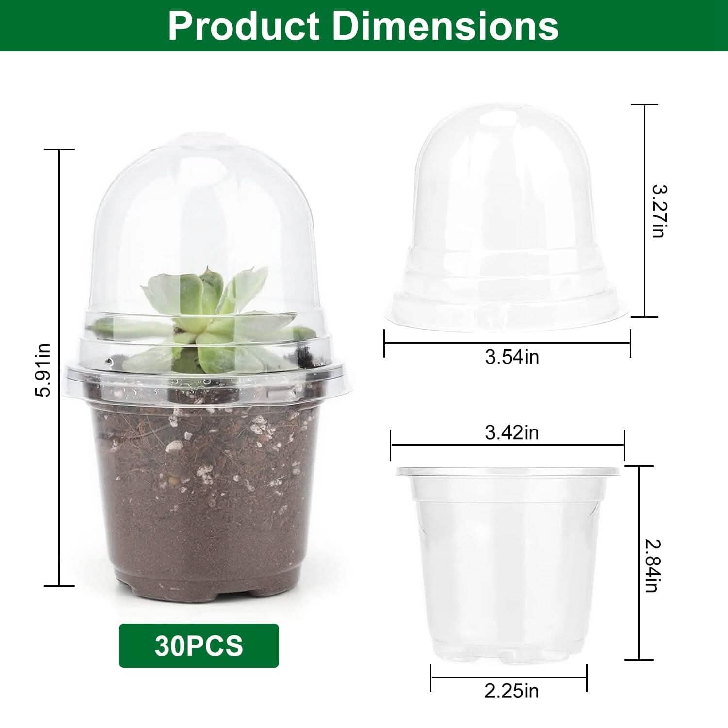 30 pièces : Pots de pépinière en PET pour semis de fleurs avec couvercle et trous de drainage