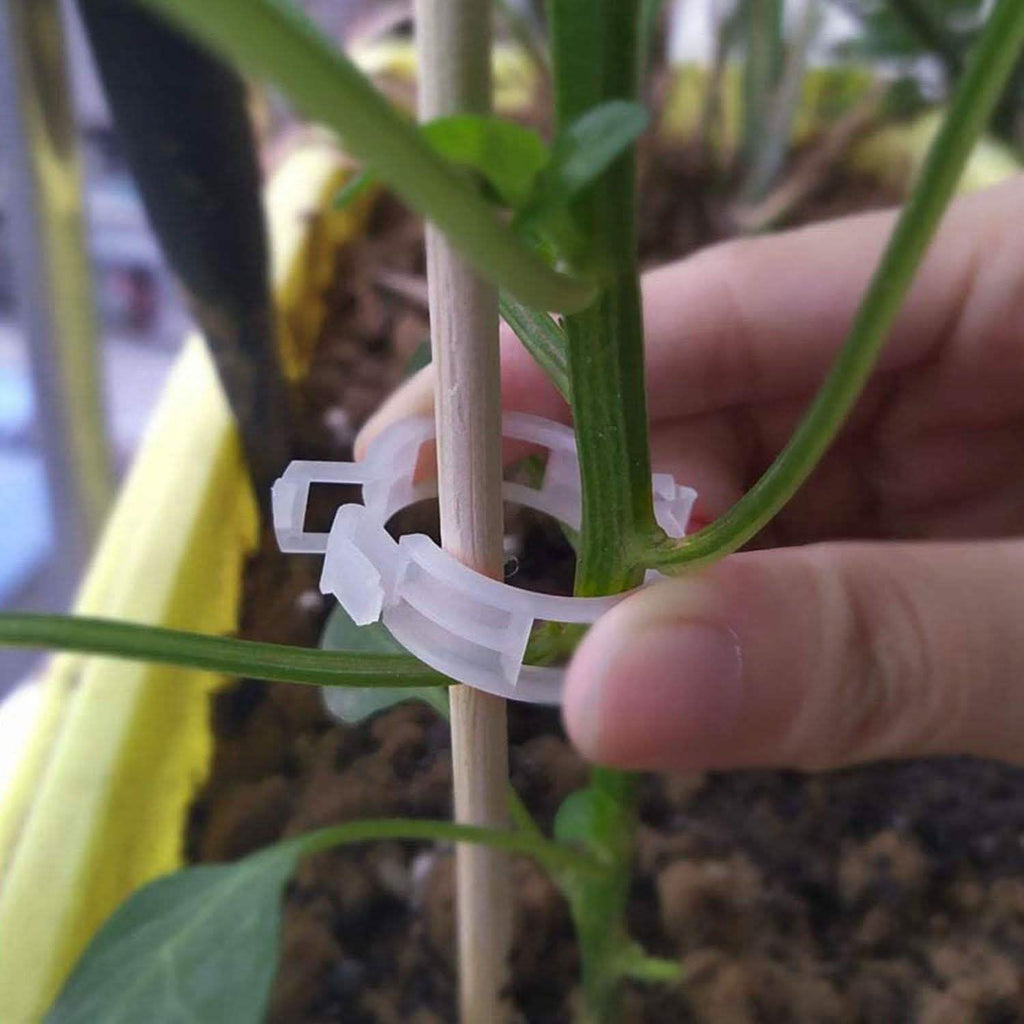 300 pièces : Clips de support pour plantes de jardin