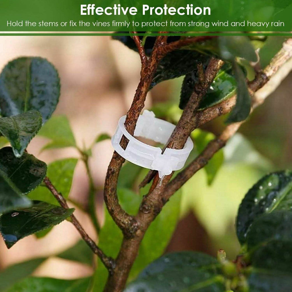 300 pièces : Clips de support pour plantes de jardin