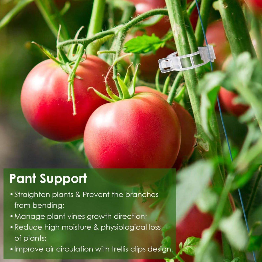 300 pièces : Clips de support pour plantes de jardin