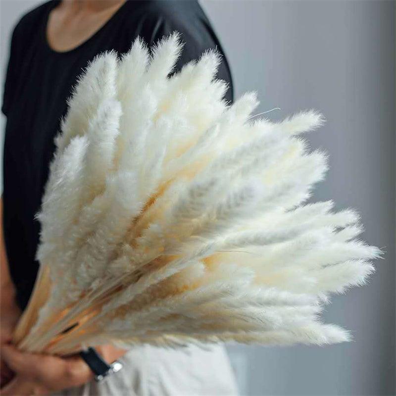 30 Pcs Bouquet de Fleurs de Massette Séchées Décoration Maison Mariage Table Flores Preservadas Herbe de la Pampa Décoration Naturelle en Roseau pour Chambre