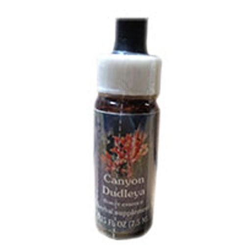 Services d'essences florales Dudleya de canyon, flacon compte-gouttes de 30 ml