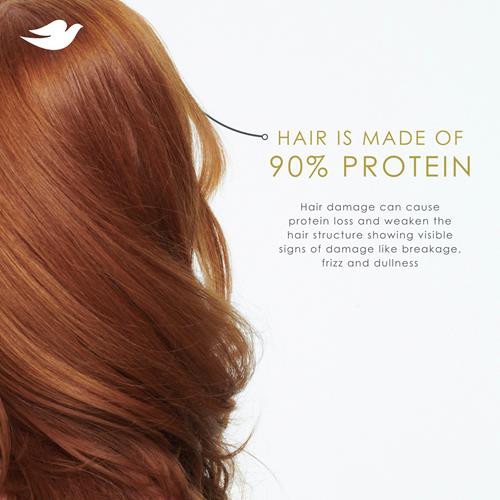 Shampooing Dove Soin Démêlant Hydratation Quotidienne Cheveux Secs Avec Technologie Bio-Protéine Et Sérum Hyaluronique 355 ml