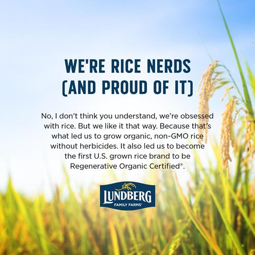 Riz Basmati Lundberg, riz blanc biologique à grains longs - non collant, moelleux, noisette, riz aromatique, alimentation végétalienne, repas sains, riz sans gluten cultivé en Californie, 64 oz