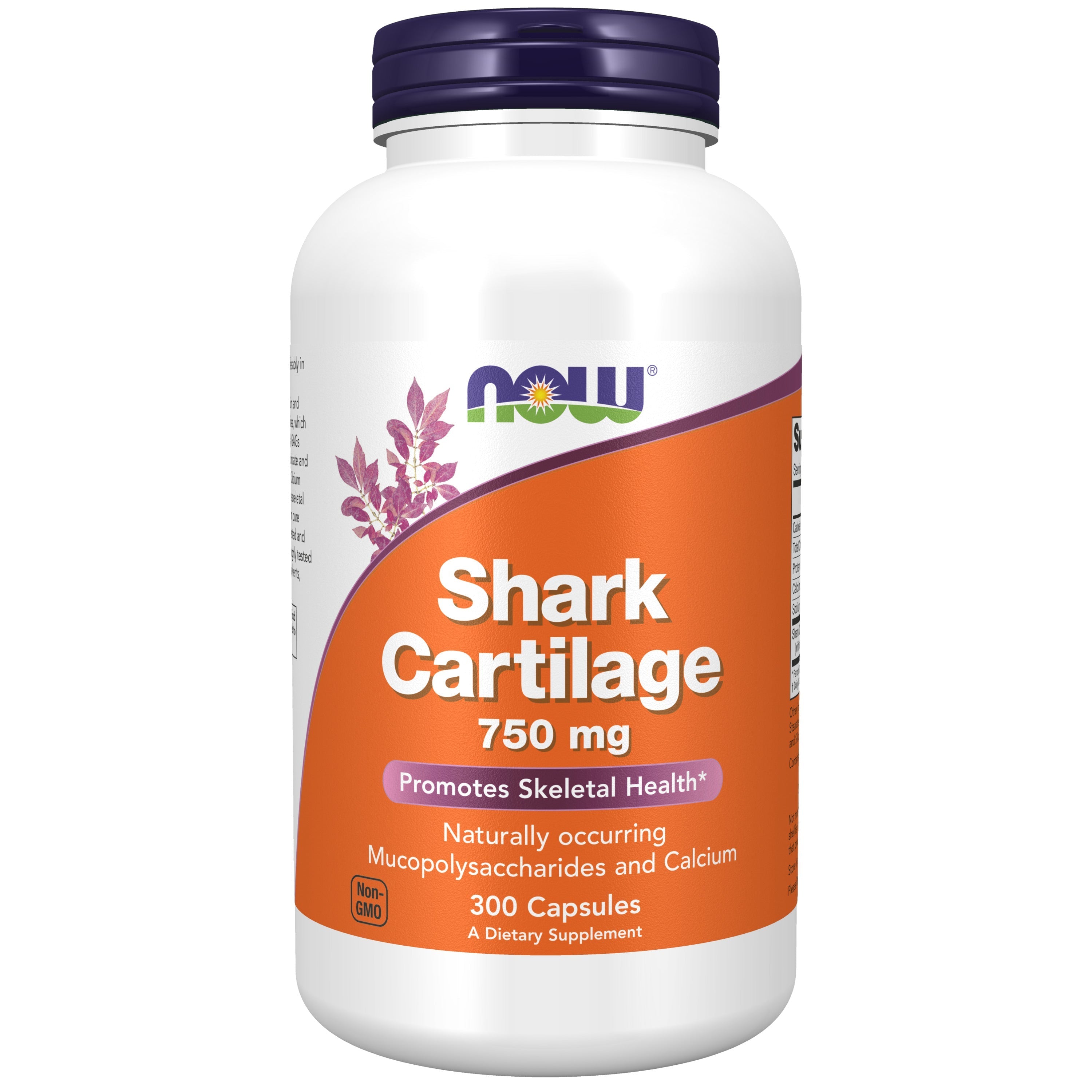 Now Foods Cartilage de Requin 750 mg 300 Gélules - 3272