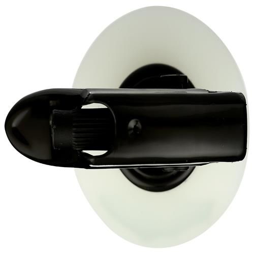 Whole Foods Market, Spray revitalisant sans rinçage à l'huile d'amande douce, parfum noix de coco, 236 ml