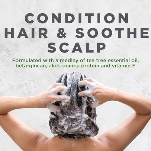 Après-Shampoing Traitant au Théier pour le Cuir Chevelu Avalon Organics, Favorise le Bien-Être du Cuir Chevelu et Rend les Cheveux Doux, 325 ml