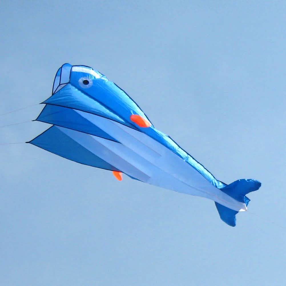 Cerf-volant 3D sans cadre doux géant et parafoil