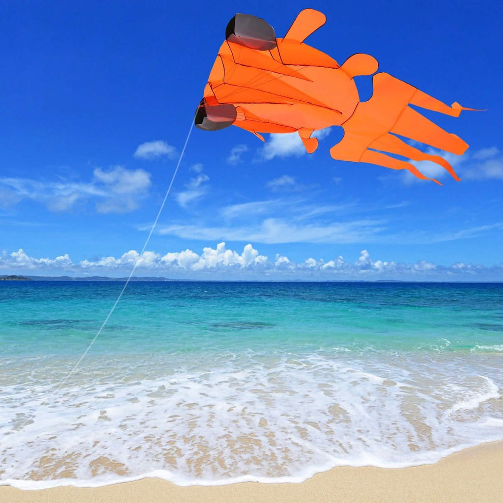 Cerf-volant 3D sans cadre doux géant et parafoil