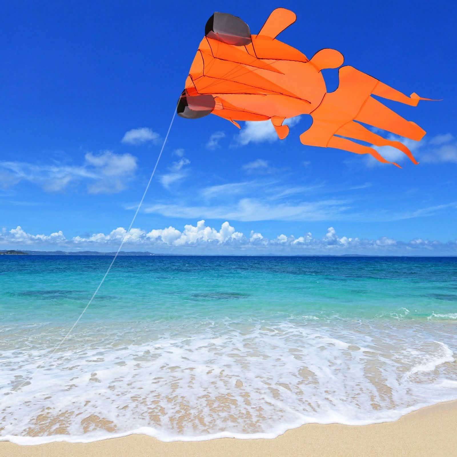 Cerf-volant 3D sans cadre doux géant et parafoil
