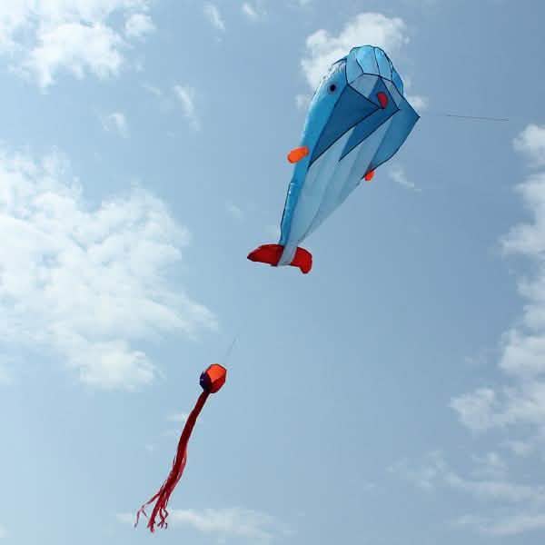 Cerf-volant 3D sans cadre doux géant et parafoil