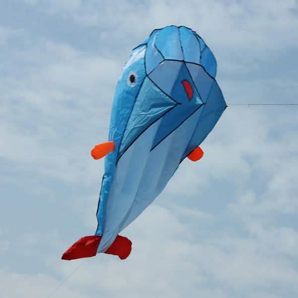 Cerf-volant 3D sans cadre doux géant et parafoil