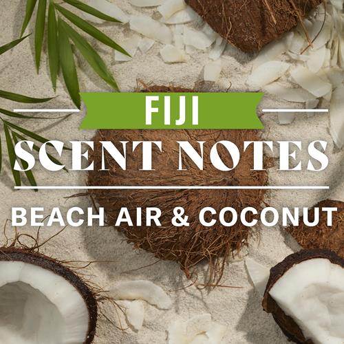 Shampooing et revitalisant 2-en-1 Old Spice Fiji pour hommes, 650 ml