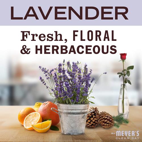 Mrs. Meyers Clean Day Foaming Hand Soap, Lavender Scent, 10 Ounce Bottle