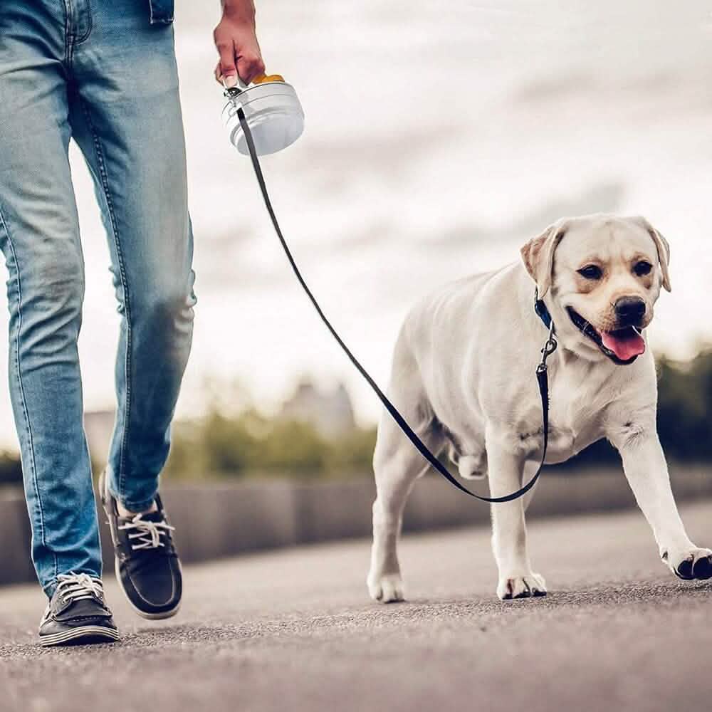 Dinette et laisse 4-en-1 SitStayGo Grab n' Go pour animaux de compagnie
