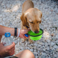 Lot de 4 : Gamelle Pliable en Silicone pour Chien ou Chat