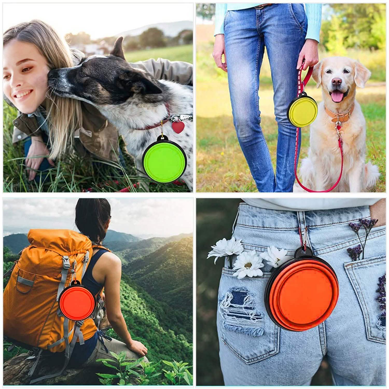 Lot de 4 : Gamelle Pliable en Silicone pour Chien ou Chat