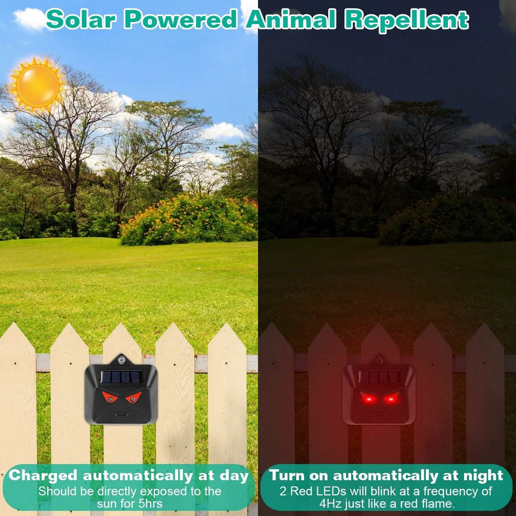 Lot de 4 : lampe solaire antiprédateur